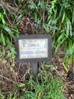 Levada do serra do Faial