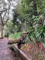 Levada do serra do Faial