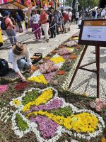 Blumenteppich Funchal