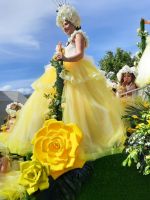 Blumenfest Funchal - ganz nah dran 