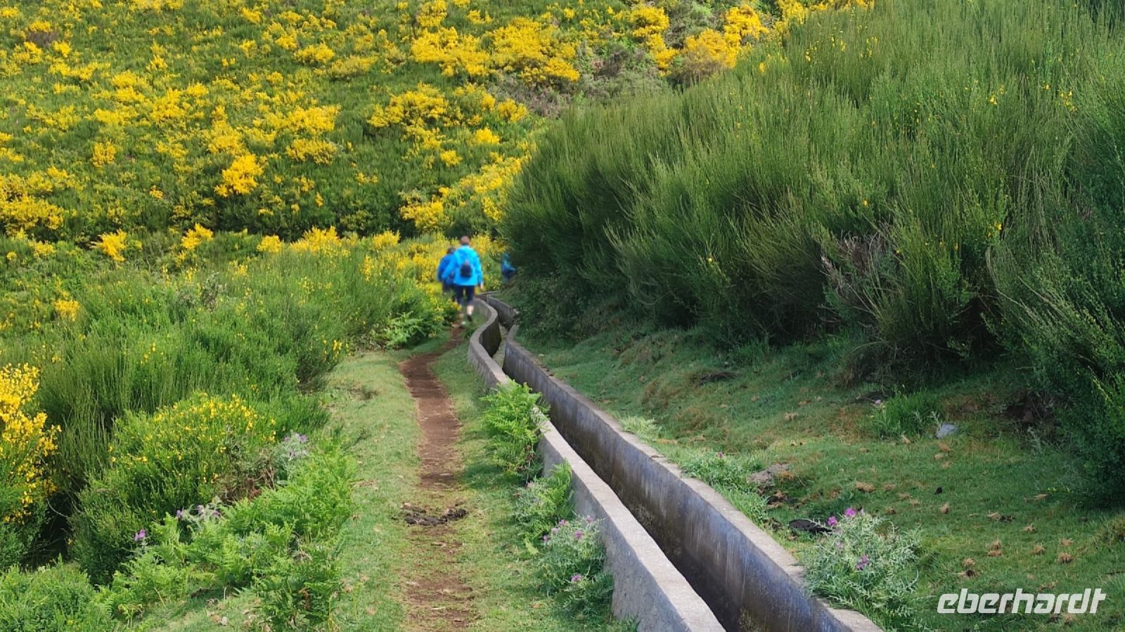 Levada do Paul - Madeira