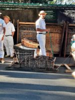 Korbschlittenfahrt in Monte