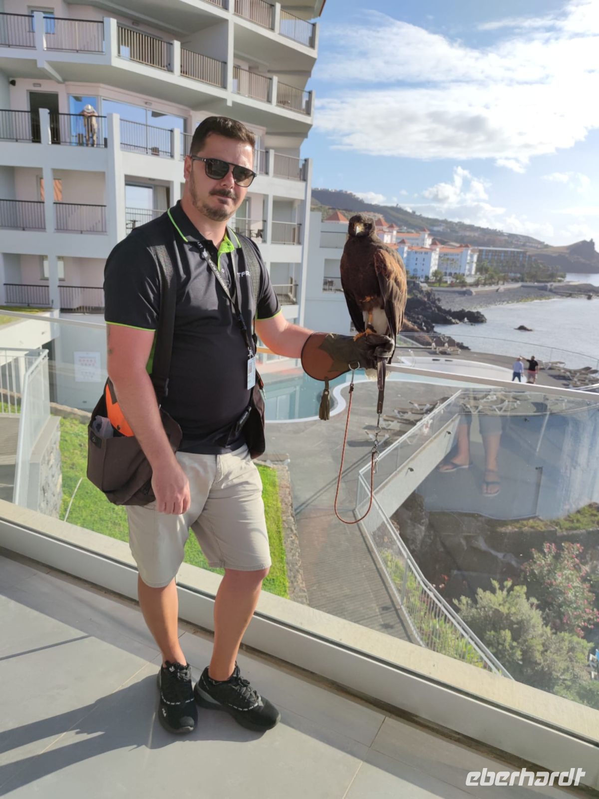 Falkner im Hotel in Canico