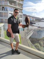 Falkner im Hotel in Canico