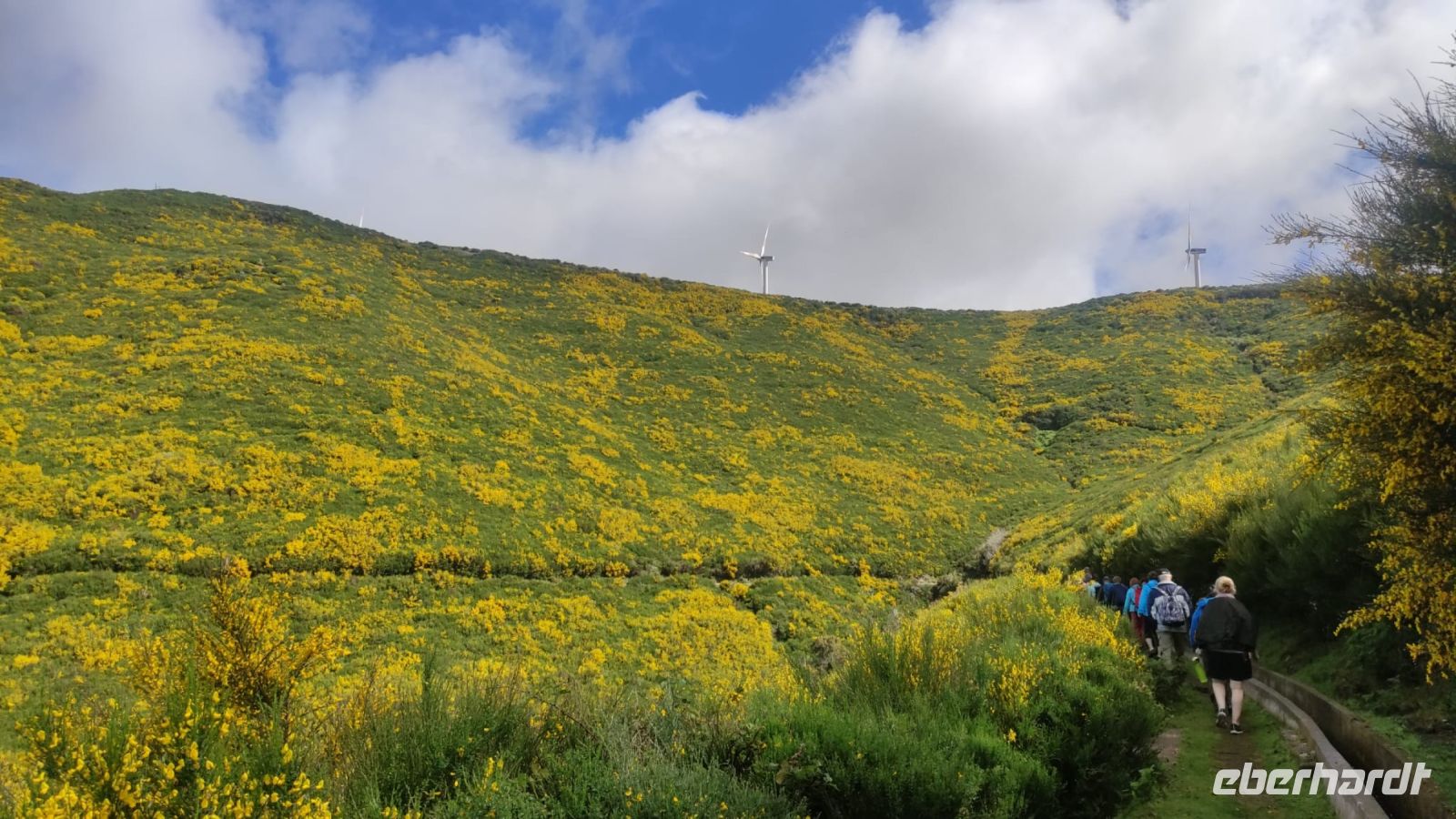 Aufgefädelte Wandergruppe - Levada do Paul