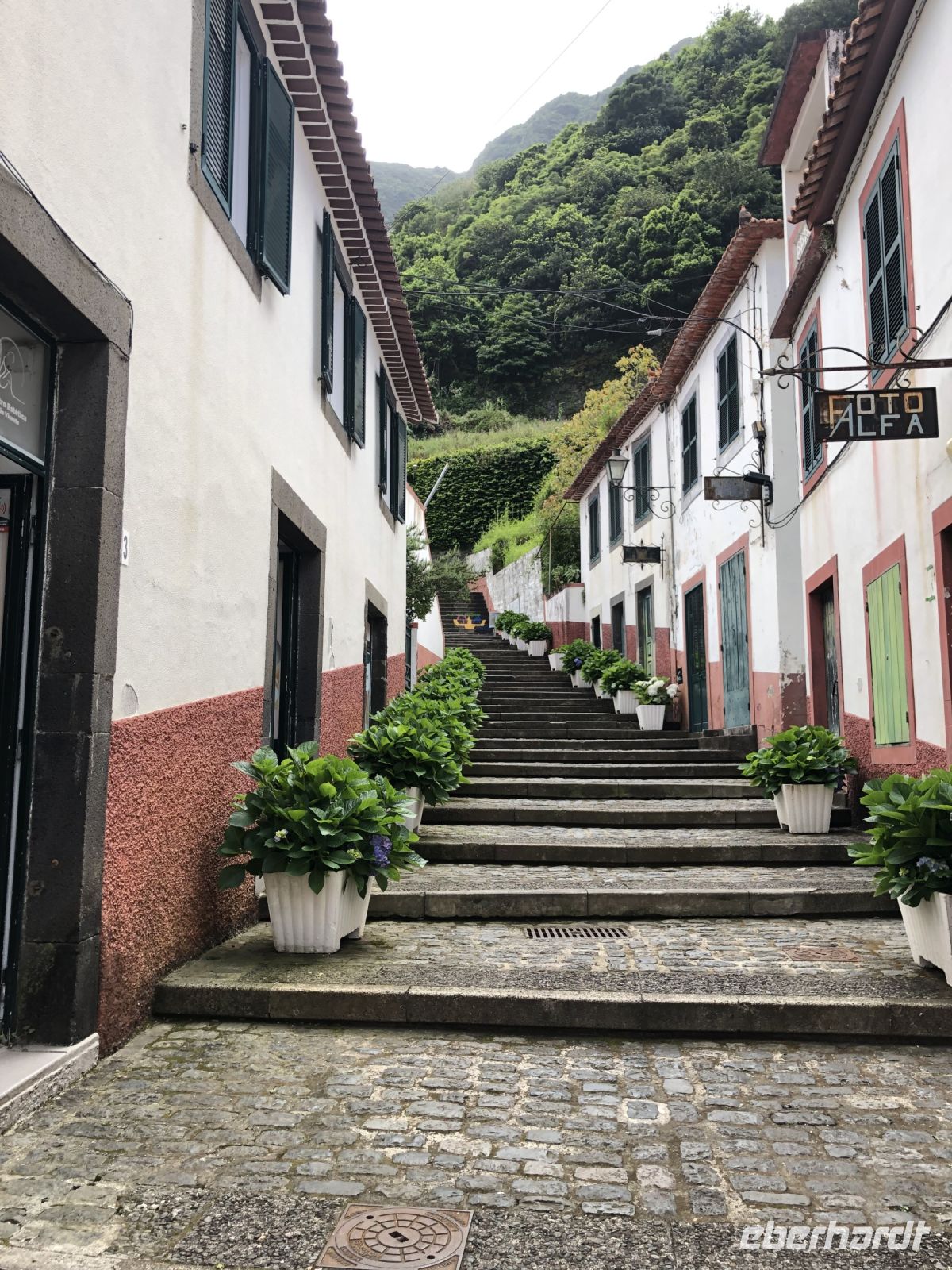 Hortensiengasse in Sao Vicente
