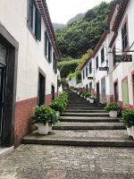 Hortensiengasse in Sao Vicente