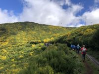 Reisegruppe von Eberhardt Travel an der Levada do Paul