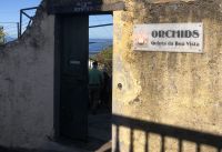 Eingang zum Orchideengarten