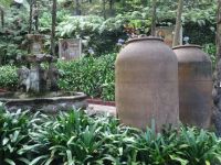 Monte - Tropischer Garten