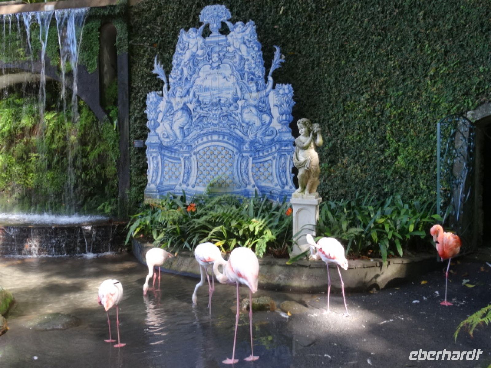 Tropischer Garten in Monte