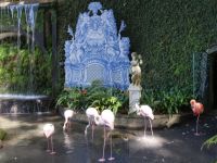 Tropischer Garten in Monte