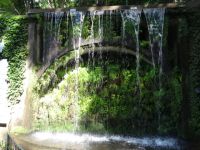 Tropischer Garten in Monte