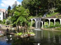 Tropischer Garten in Monte