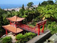 Tropischer Garten in Monte