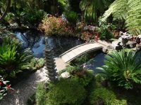 Tropischer Garten in Monte