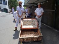 Monte- Abfahrt der Korbschlitten