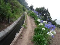 entlang der Levada do Norte