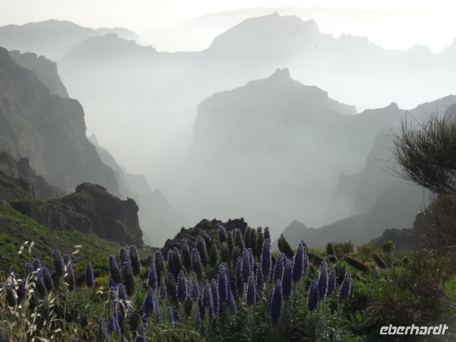 Pico do Arieiro - der Stolz Madeiras + verschleierter Blick ins Nonnental