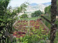 Funchal - der Botanische Garten 