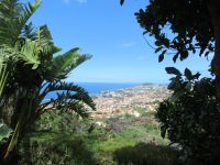 Blick auf Funchal
