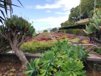 Funchal - Botanischer Garten - Blumenteppich