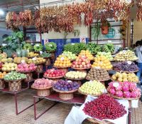 Die Früchte in der Markthalle