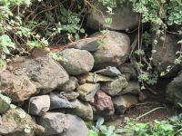 Die kleinen Bewohner des Gartens