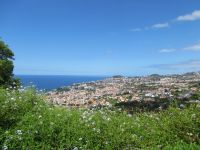 Funchal von oben