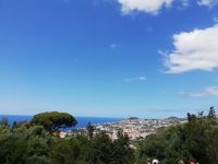 Funchal vom Botanischen Garten