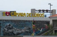 I love Camara de Lobos