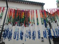 Camara de Lobos - schön bunt - alles was sonst in Müll landet....