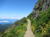 Ein wunderbarer Weg zu Pico