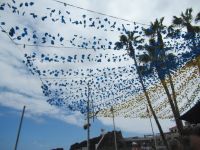 Die Blumen im Himmel