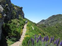 Immer nach oben zu unserem Ziel - Pico Ruivo 1.862 M