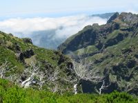 Die nach dem Brand vor Jahren