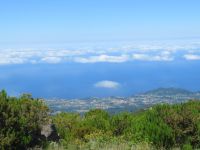 Blick auf die Küste Madeiras