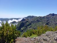Madeira in voller Schönheit 