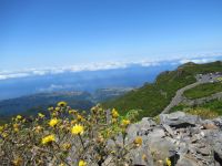 Da runter müssen wir hin