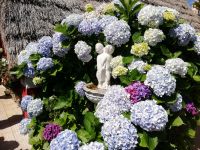 Am Einfang zu Haus in Santana