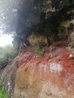 Levada do Marocos - Farben der Natur