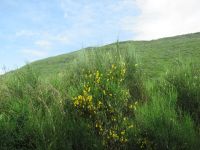 Landschaften entlang der Levada do Paul Serra
