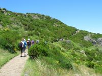 Im Gänsemarch hoch zum Pico Ruivo