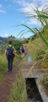 Levada Wanderung