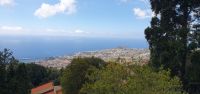 Blick auf Funchal von Monte