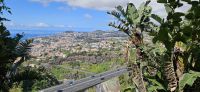 Blick vom Botanischen Garten auf Funchal
