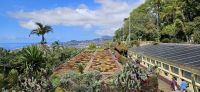 Botanischer Garten Funchal