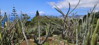 Botanischer Garten Funchal