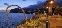 Uferpromenade Funchal mit Schwanenhalsagaven