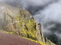 der Nebel lichtet sich